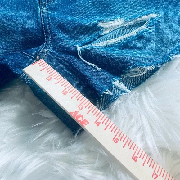 NWT American Eagle Highest Rise Sz 4 Baggy Embroidery Women’s Shorts - Picture 11 of 13